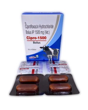 Ciprofloxacin Bolus