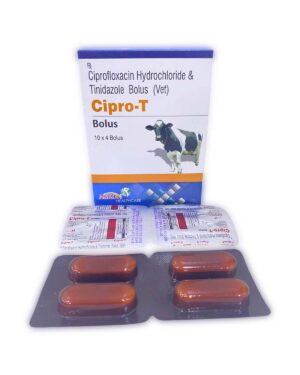 Ciprofloxacin & Tinidazole Bolus
